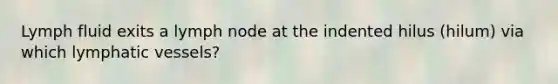 Lymph fluid exits a lymph node at the indented hilus (hilum) via which lymphatic vessels?