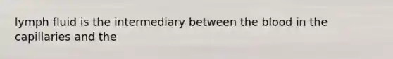 lymph fluid is the intermediary between the blood in the capillaries and the