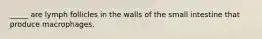 _____ are lymph follicles in the walls of the small intestine that produce macrophages.