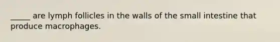 _____ are lymph follicles in the walls of the small intestine that produce macrophages.