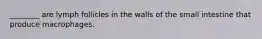 ________ are lymph follicles in the walls of the small intestine that produce macrophages.