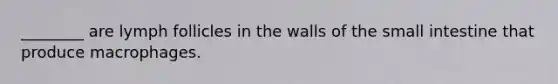 ________ are lymph follicles in the walls of <a href='https://www.questionai.com/knowledge/kt623fh5xn-the-small-intestine' class='anchor-knowledge'>the small intestine</a> that produce macrophages.