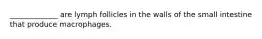 _____________ are lymph follicles in the walls of the small intestine that produce macrophages.