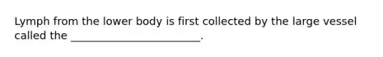Lymph from the lower body is first collected by the large vessel called the ________________________.