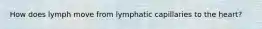 How does lymph move from lymphatic capillaries to the heart?