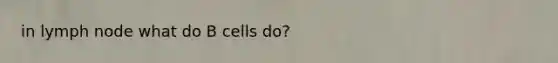 in lymph node what do B cells do?