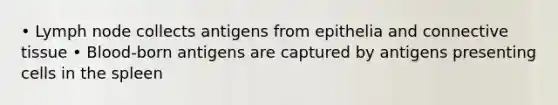 • Lymph node collects antigens from epithelia and connective tissue • Blood-born antigens are captured by antigens presenting cells in the spleen