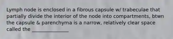 Lymph node is enclosed in a fibrous capsule w/ trabeculae that partially divide the interior of the node into compartments, btwn the capsule & parenchyma is a narrow, relatively clear space called the _______________