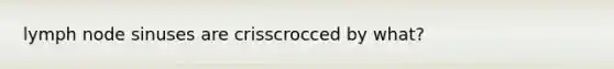 lymph node sinuses are crisscrocced by what?