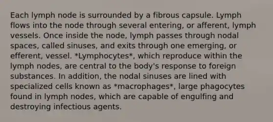 Each lymph node is surrounded by a fibrous capsule. Lymph flows into the node through several entering, or afferent, lymph vessels. Once inside the node, lymph passes through nodal spaces, called sinuses, and exits through one emerging, or efferent, vessel. *Lymphocytes*, which reproduce within the lymph nodes, are central to the body's response to foreign substances. In addition, the nodal sinuses are lined with specialized cells known as *macrophages*, large phagocytes found in lymph nodes, which are capable of engulfing and destroying infectious agents.