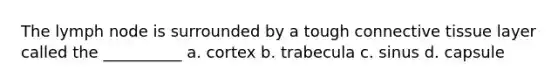 The lymph node is surrounded by a tough connective tissue layer called the __________ a. cortex b. trabecula c. sinus d. capsule