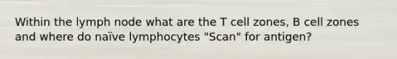 Within the lymph node what are the T cell zones, B cell zones and where do naïve lymphocytes "Scan" for antigen?