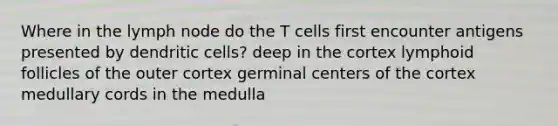 Where in the lymph node do the T cells first encounter antigens presented by dendritic cells? deep in the cortex lymphoid follicles of the outer cortex germinal centers of the cortex medullary cords in the medulla