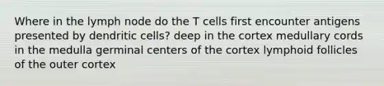 Where in the lymph node do the T cells first encounter antigens presented by dendritic cells? deep in the cortex medullary cords in the medulla germinal centers of the cortex lymphoid follicles of the outer cortex