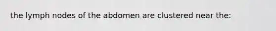 the lymph nodes of the abdomen are clustered near the:
