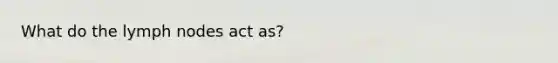 What do the lymph nodes act as?