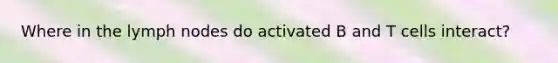 Where in the lymph nodes do activated B and T cells interact?