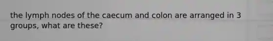 the lymph nodes of the caecum and colon are arranged in 3 groups, what are these?