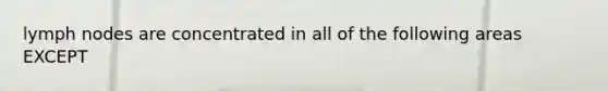lymph nodes are concentrated in all of the following areas EXCEPT