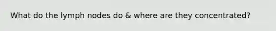 What do the lymph nodes do & where are they concentrated?