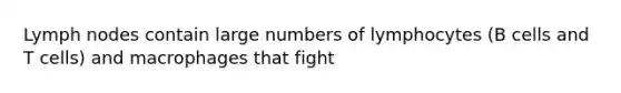 Lymph nodes contain large numbers of lymphocytes (B cells and T cells) and macrophages that fight