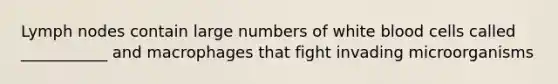 Lymph nodes contain large numbers of white blood cells called ___________ and macrophages that fight invading microorganisms