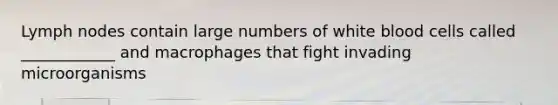 Lymph nodes contain large numbers of white blood cells called ____________ and macrophages that fight invading microorganisms