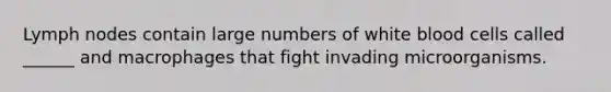 Lymph nodes contain large numbers of white blood cells called ______ and macrophages that fight invading microorganisms.