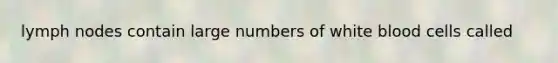 lymph nodes contain large numbers of white blood cells called