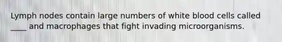 Lymph nodes contain large numbers of white blood cells called ____ and macrophages that fight invading microorganisms.