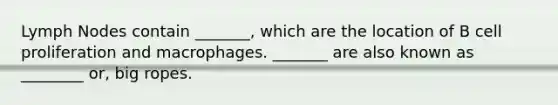 Lymph Nodes contain _______, which are the location of B cell proliferation and macrophages. _______ are also known as ________ or, big ropes.