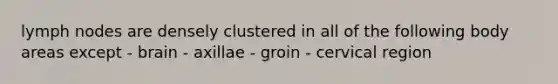 lymph nodes are densely clustered in all of the following body areas except - brain - axillae - groin - cervical region