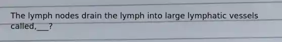 The lymph nodes drain the lymph into large lymphatic vessels called,___?