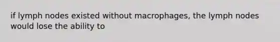 if lymph nodes existed without macrophages, the lymph nodes would lose the ability to