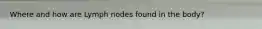 Where and how are Lymph nodes found in the body?