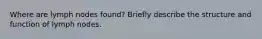 Where are lymph nodes found? Briefly describe the structure and function of lymph nodes.