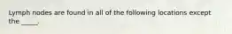 Lymph nodes are found in all of the following locations except the _____.