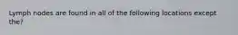 Lymph nodes are found in all of the following locations except the?