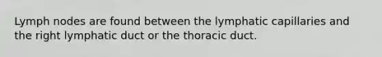 Lymph nodes are found between the lymphatic capillaries and the right lymphatic duct or the thoracic duct.