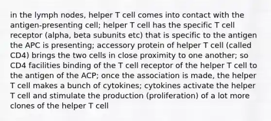 in the lymph nodes, helper T cell comes into contact with the antigen-presenting cell; helper T cell has the specific T cell receptor (alpha, beta subunits etc) that is specific to the antigen the APC is presenting; accessory protein of helper T cell (called CD4) brings the two cells in close proximity to one another; so CD4 facilities binding of the T cell receptor of the helper T cell to the antigen of the ACP; once the association is made, the helper T cell makes a bunch of cytokines; cytokines activate the helper T cell and stimulate the production (proliferation) of a lot more clones of the helper T cell