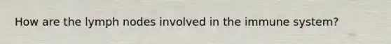 How are the lymph nodes involved in the immune system?
