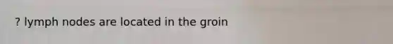 ? lymph nodes are located in the groin