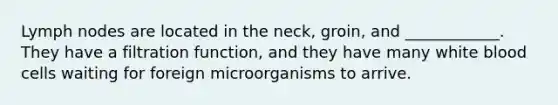 Lymph nodes are located in the neck, groin, and ____________. They have a filtration function, and they have many white blood cells waiting for foreign microorganisms to arrive.