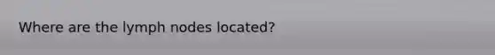 Where are the lymph nodes located?