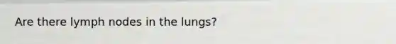 Are there lymph nodes in the lungs?