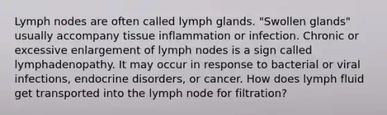 Lymph nodes are often called lymph glands. "Swollen glands" usually accompany tissue inflammation or infection. Chronic or excessive enlargement of lymph nodes is a sign called lymphadenopathy. It may occur in response to bacterial or viral infections, endocrine disorders, or cancer. How does lymph fluid get transported into the lymph node for filtration?