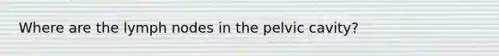 Where are the lymph nodes in the pelvic cavity?