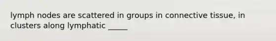 lymph nodes are scattered in groups in connective tissue, in clusters along lymphatic _____