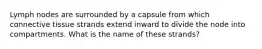 Lymph nodes are surrounded by a capsule from which connective tissue strands extend inward to divide the node into compartments. What is the name of these strands?