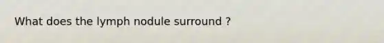 What does the lymph nodule surround ?